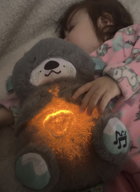 Teddy Soninho perfeito para a rotina do sono + eBook de Brinde
